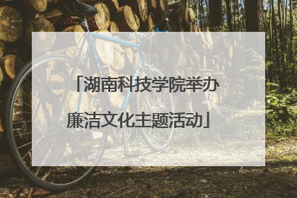 湖南科技学院举办廉洁文化主题活动