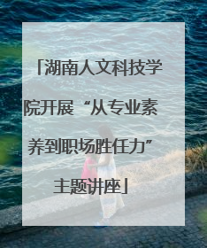 湖南人文科技学院开展“从专业素养到职场胜任力”主题讲座