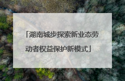 湖南城步探索新业态劳动者权益保护新模式