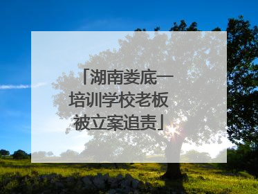 湖南娄底一培训学校老板被立案追责