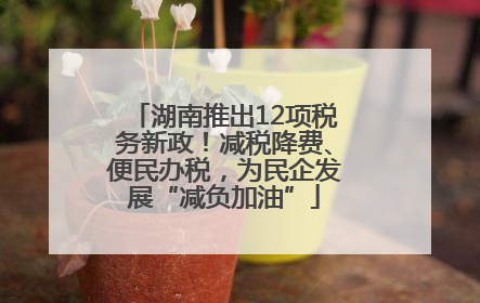 湖南推出12项税务新政！减税降费、便民办税，为民企发展“减负加油”
