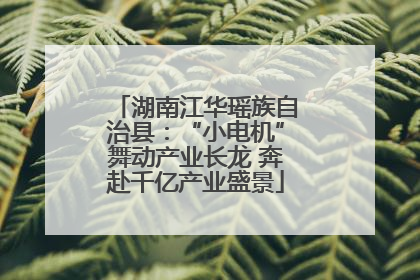 湖南江华瑶族自治县：“小电机”舞动产业长龙 奔赴千亿产业盛景