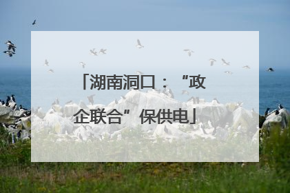 湖南洞口：“政企联合”保供电
