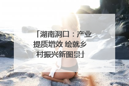 湖南洞口：产业提质增效 绘就乡村振兴新图景