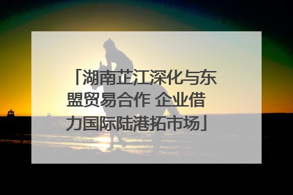 湖南芷江深化与东盟贸易合作 企业借力国际陆港拓市场