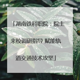 湖南铁科职院：院士来校调研指导 赋能轨道交通技术攻坚