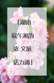湖南：端午湘韵浓 文旅活力涌