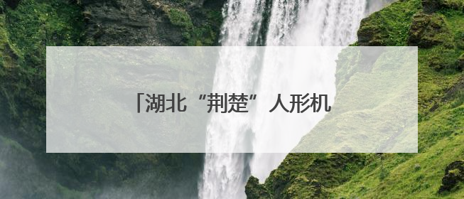 湖北“荆楚”人形机器人公司落户武昌