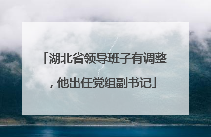 湖北省领导班子有调整，他出任党组副书记