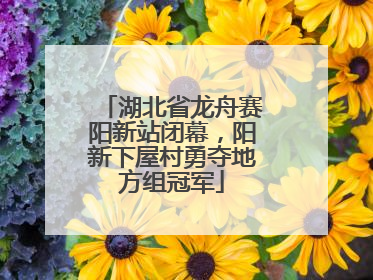 湖北省龙舟赛阳新站闭幕，阳新下屋村勇夺地方组冠军