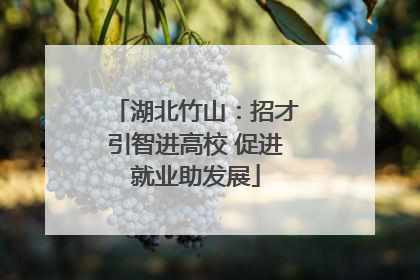 湖北竹山：招才引智进高校 促进就业助发展