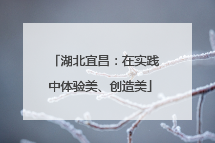 湖北宜昌：在实践中体验美、创造美