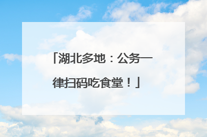 湖北多地：公务一律扫码吃食堂！