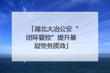 湖北大冶公安“闭环管控”提升基层警务质效