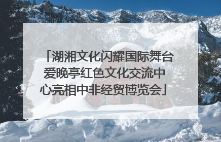 湖湘文化闪耀国际舞台 爱晚亭红色文化交流中心亮相中非经贸博览会