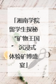 湘南学院留学生探秘“矿物王国” 沉浸式体验矿博盛宴