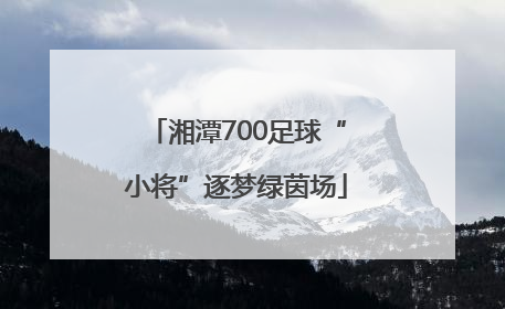 湘潭700足球“小将”逐梦绿茵场