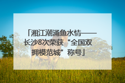 湘江潮涌鱼水情——长沙8次荣获“全国双拥模范城”称号