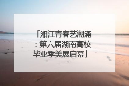 湘江青春艺潮涌：第六届湖南高校毕业季美展启幕