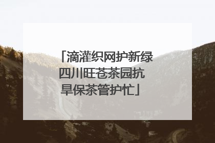 滴灌织网护新绿 四川旺苍茶园抗旱保茶管护忙
