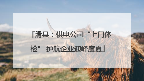 滑县：供电公司“上门体检” 护航企业迎峰度夏