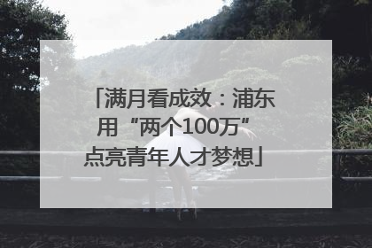 满月看成效：浦东用“两个100万”点亮青年人才梦想