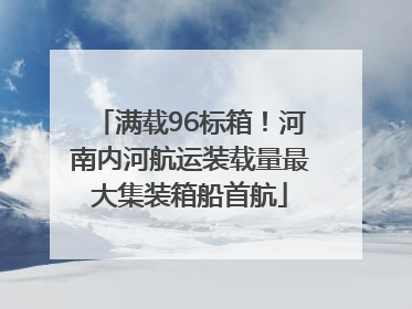 满载96标箱！河南内河航运装载量最大集装箱船首航