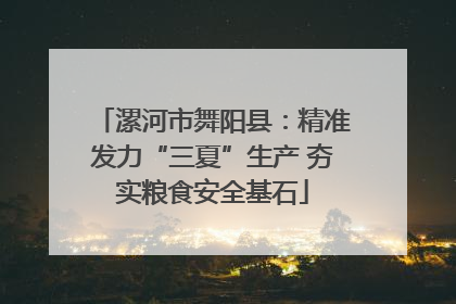 漯河市舞阳县：精准发力“三夏”生产 夯实粮食安全基石