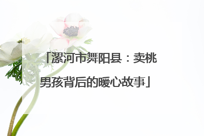 漯河市舞阳县：卖桃男孩背后的暖心故事