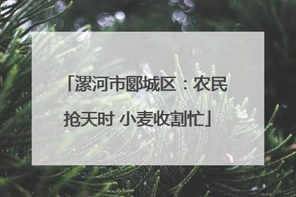 漯河市郾城区：农民抢天时 小麦收割忙