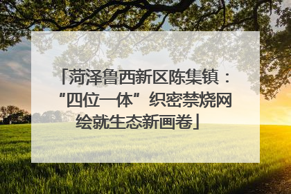 菏泽鲁西新区陈集镇：“四位一体”织密禁烧网 绘就生态新画卷