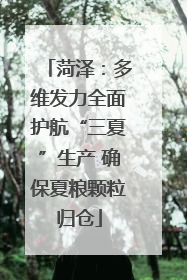 菏泽：多维发力全面护航“三夏”生产 确保夏粮颗粒归仓