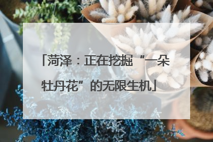 菏泽：正在挖掘“一朵牡丹花”的无限生机
