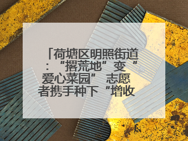 荷塘区明照街道：“撂荒地”变“爱心菜园” 志愿者携手种下“增收希望”