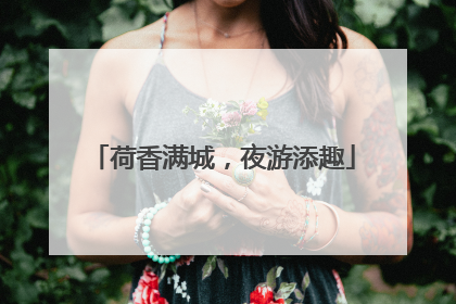荷香满城，夜游添趣