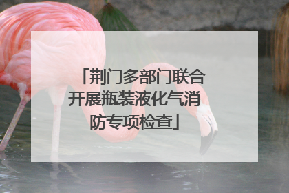 荆门多部门联合开展瓶装液化气消防专项检查