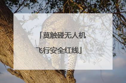 莫触碰无人机飞行安全红线