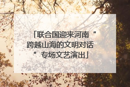 联合国迎来河南“跨越山海的文明对话”专场文艺演出