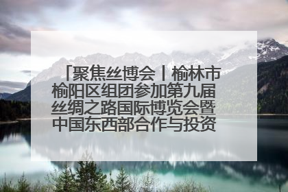 聚焦丝博会丨榆林市榆阳区组团参加第九届丝绸之路国际博览会暨中国东西部合作与投资贸易洽谈会