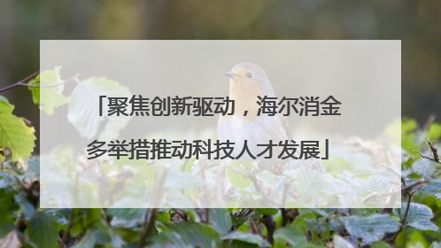 聚焦创新驱动，海尔消金多举措推动科技人才发展