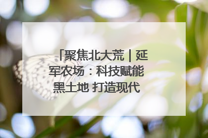 聚焦北大荒｜延军农场：科技赋能黑土地 打造现代农业“智慧芯”