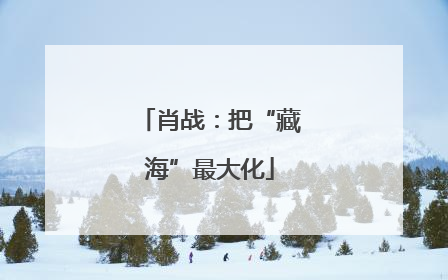 肖战：把“藏海”最大化
