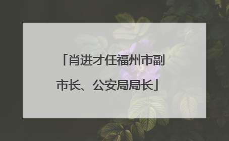 肖进才任福州市副市长、公安局局长