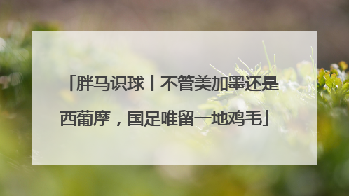 胖马识球丨不管美加墨还是西葡摩，国足唯留一地鸡毛