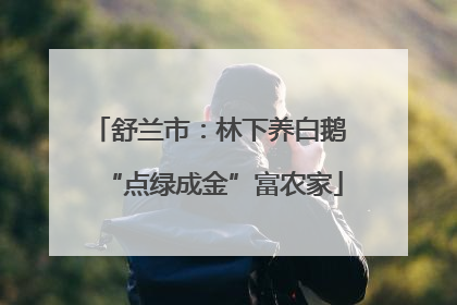 舒兰市：林下养白鹅 “点绿成金”富农家