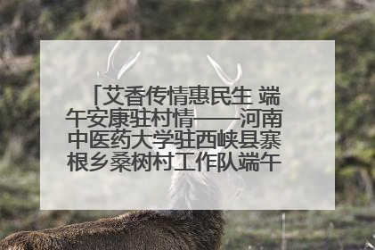 艾香传情惠民生 端午安康驻村情——河南中医药大学驻西峡县寨根乡桑树村工作队端午中医惠民记