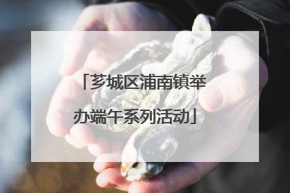 芗城区浦南镇举办端午系列活动