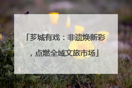 芗城有戏：非遗焕新彩，点燃全域文旅市场
