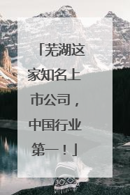 芜湖这家知名上市公司，中国行业第一！
