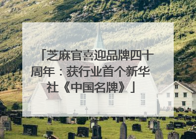 芝麻官喜迎品牌四十周年：获行业首个新华社《中国名牌》
